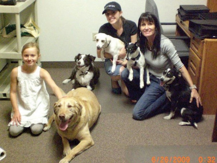 Take Your Dog to Work Day